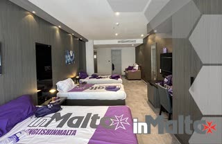 The Purple Hotels Collection